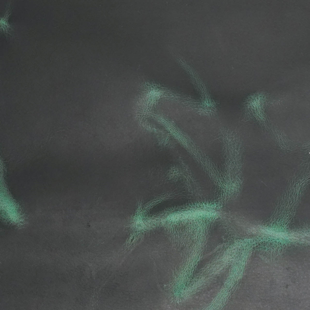 AWPU.Emerald Green.03.jpg Aurora Waxed Pull-Up Image