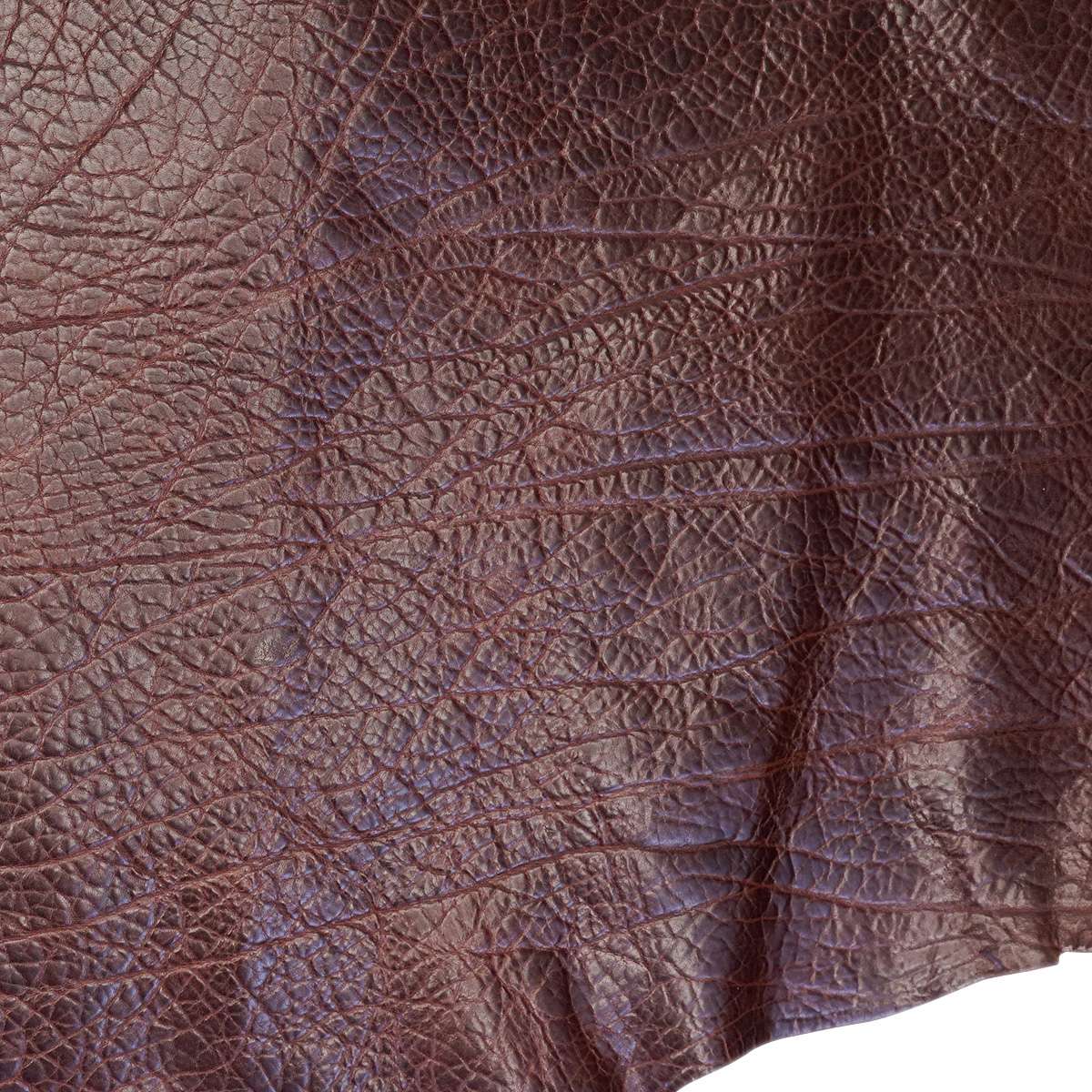 SGBDS.Glazed Brown.03.jpg Shrunken Grain Buffalo Double Shoulders Image
