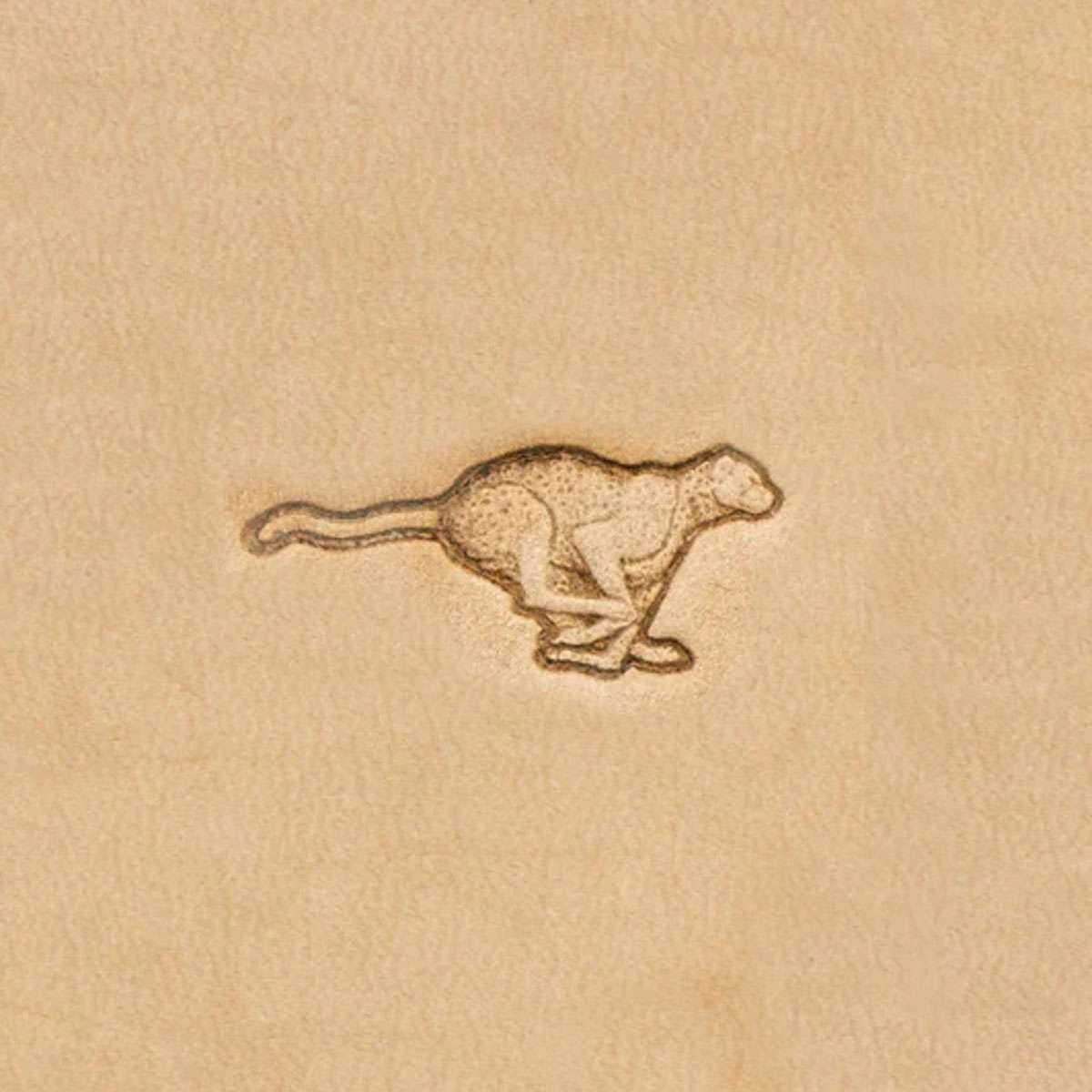 3DAA.Leopard.01.jpg 3D African Animal Stamps Image