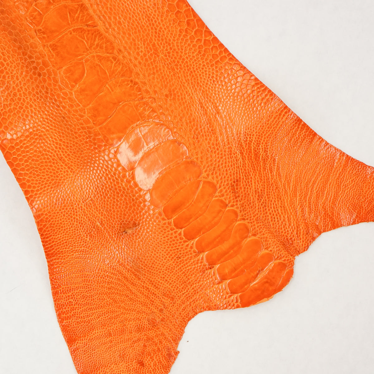 63-30515.SLC.1.jpg Ostrich Leg - Tangerine Image