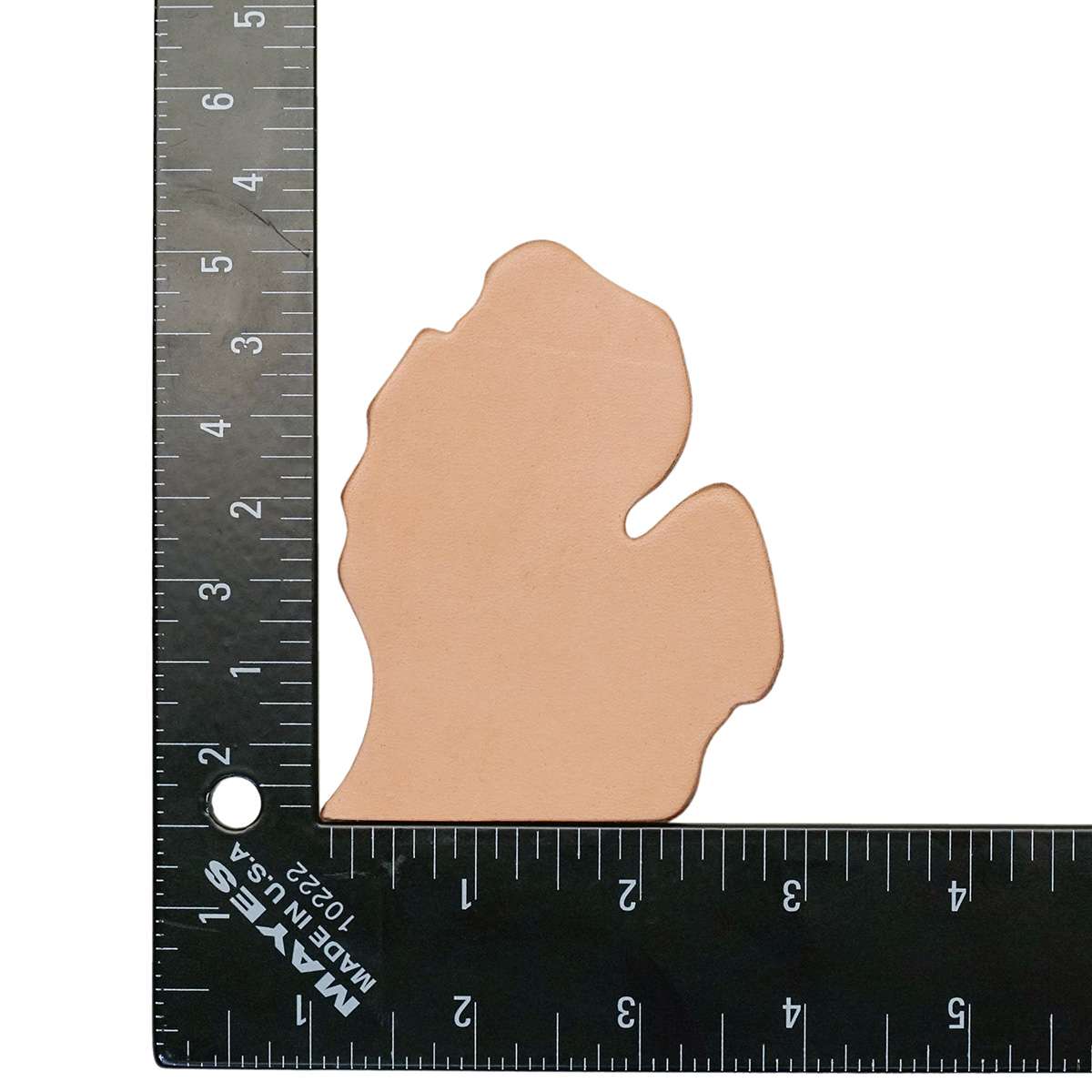 SSMI.SLC.02.jpg State Shape - Michigan Image