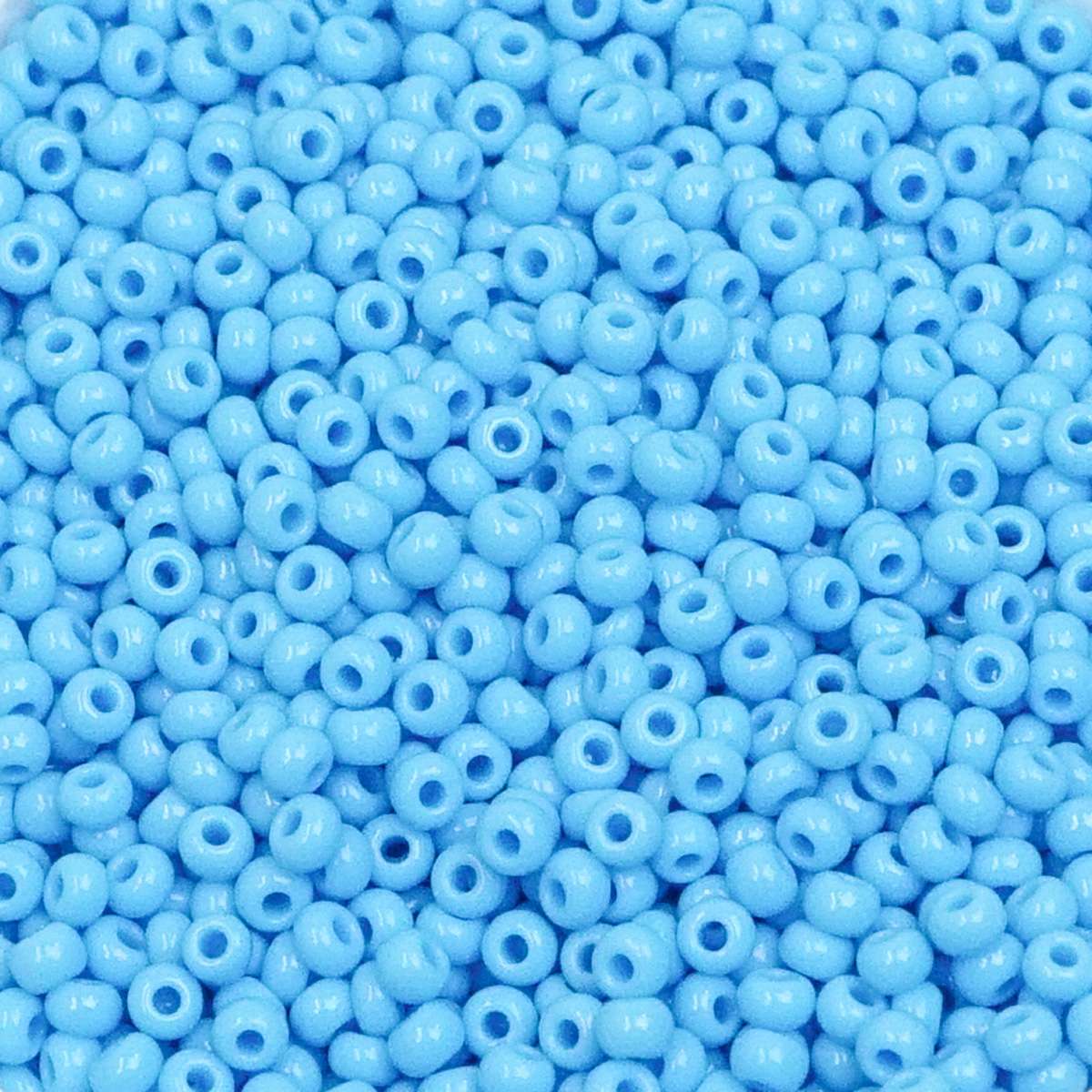 222-144025.SLC.1.jpg 10/0 Glass Seed Beads - Sky Blue 110g Image