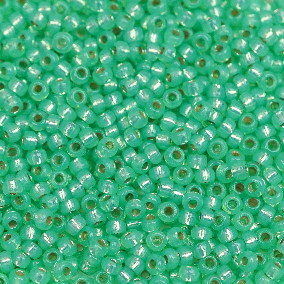 45-1194240.SLC.1.jpg 11/0 Seed Bead - Duracoat Silver Lined Dyed Mint Green 23g Image
