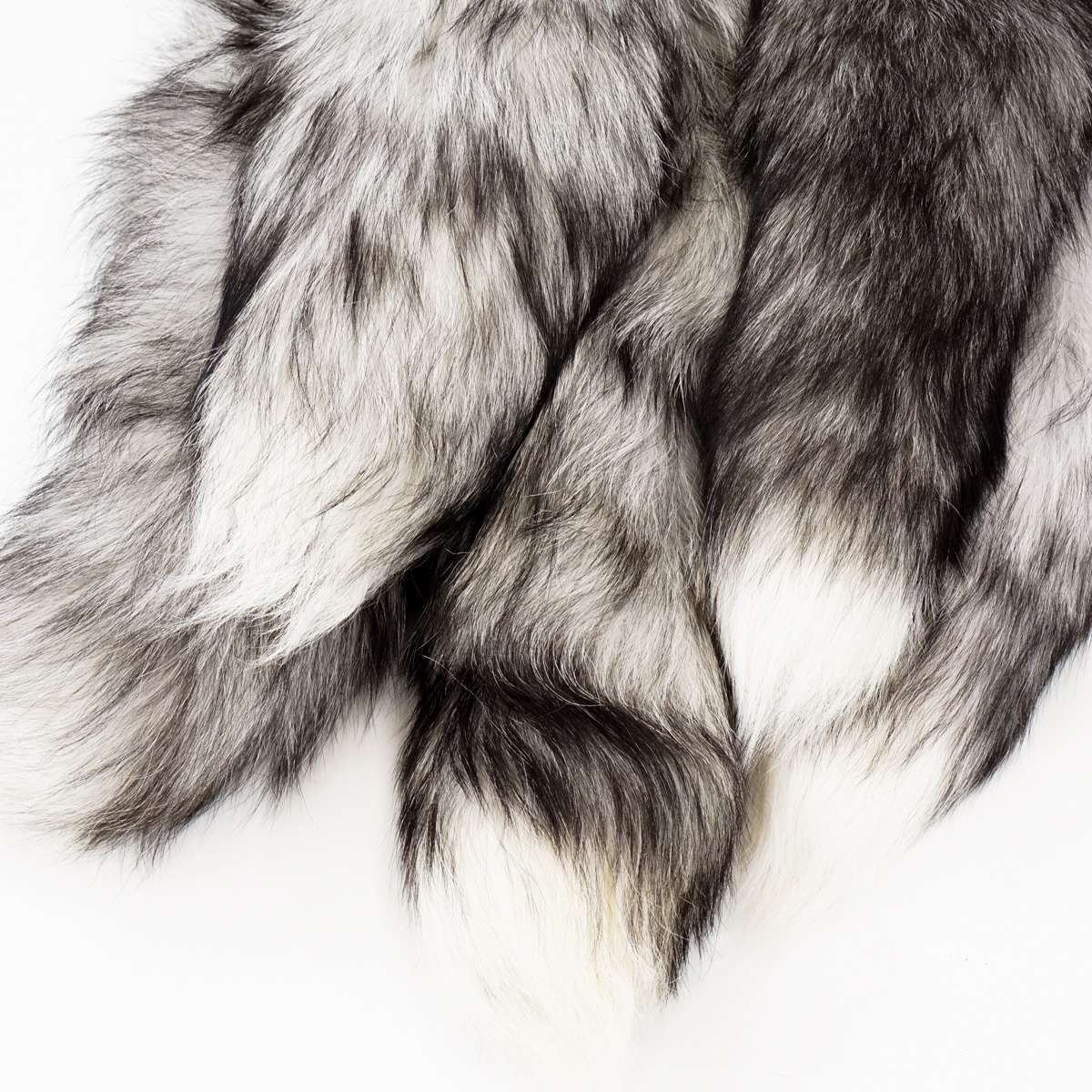 126-130105.SLC.1.jpg Indigo Fox Tail Image