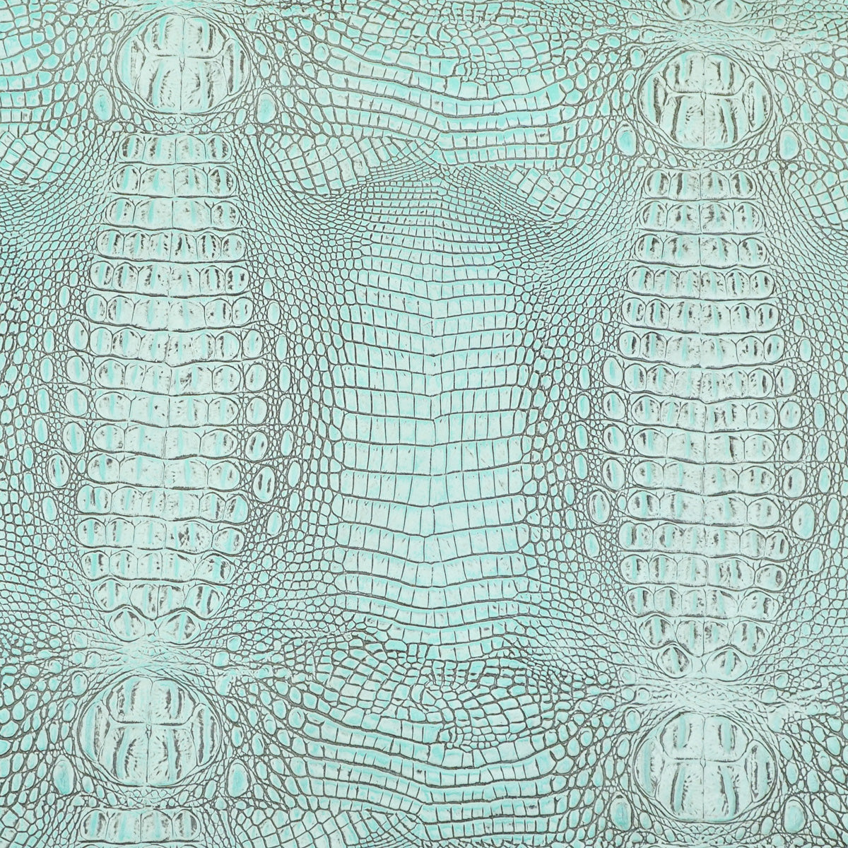 EGOC.Antique Turquoise.04.jpg Embossed Gator on Cow Image