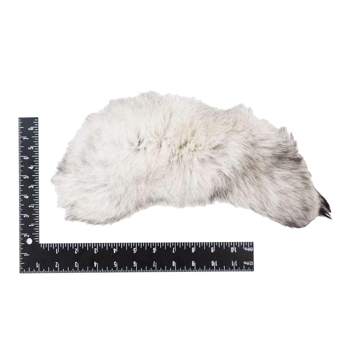 126-601.SLC.3.jpg Blue Fox Tail Image