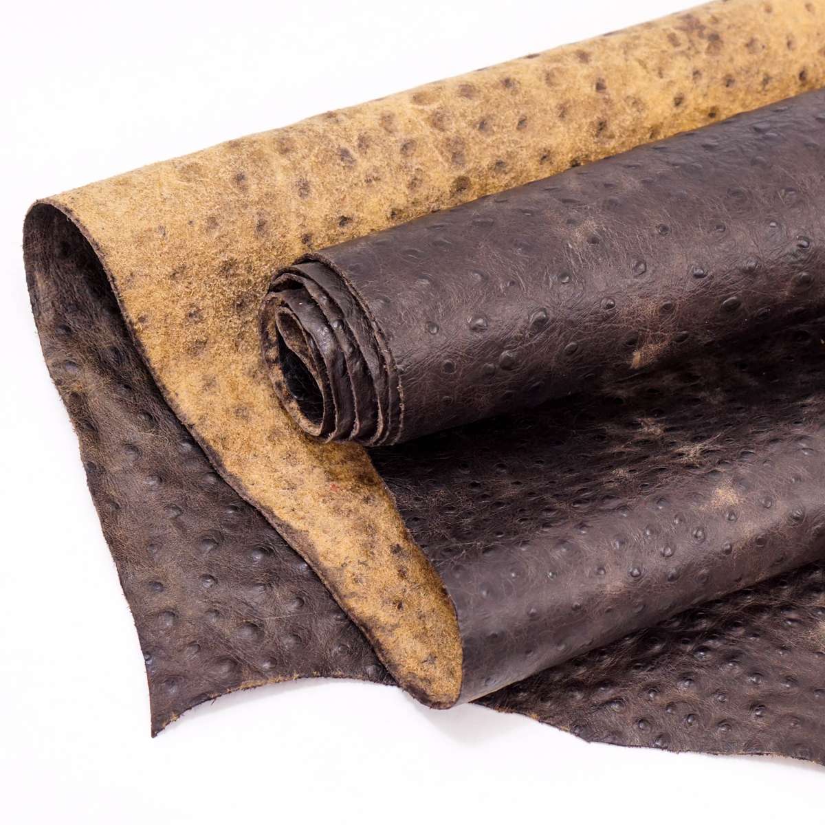 57-7511.SLC.1.jpg Rustic Ostrich Print - Brown Image