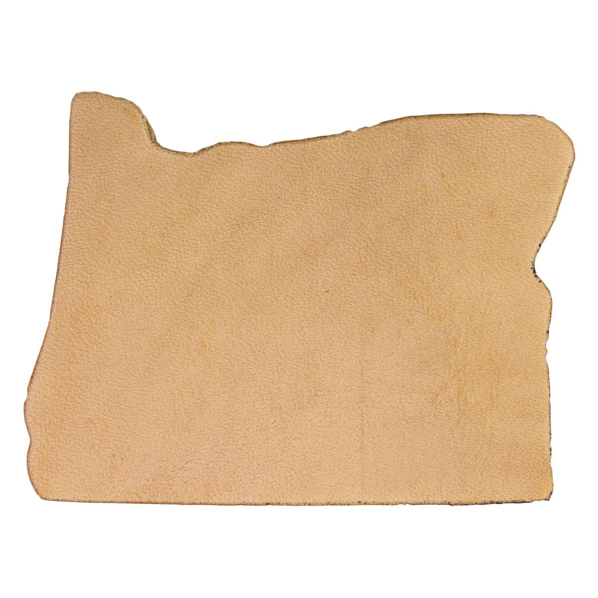 SHPOR.SLC.1.jpg State Shape - Oregon Image