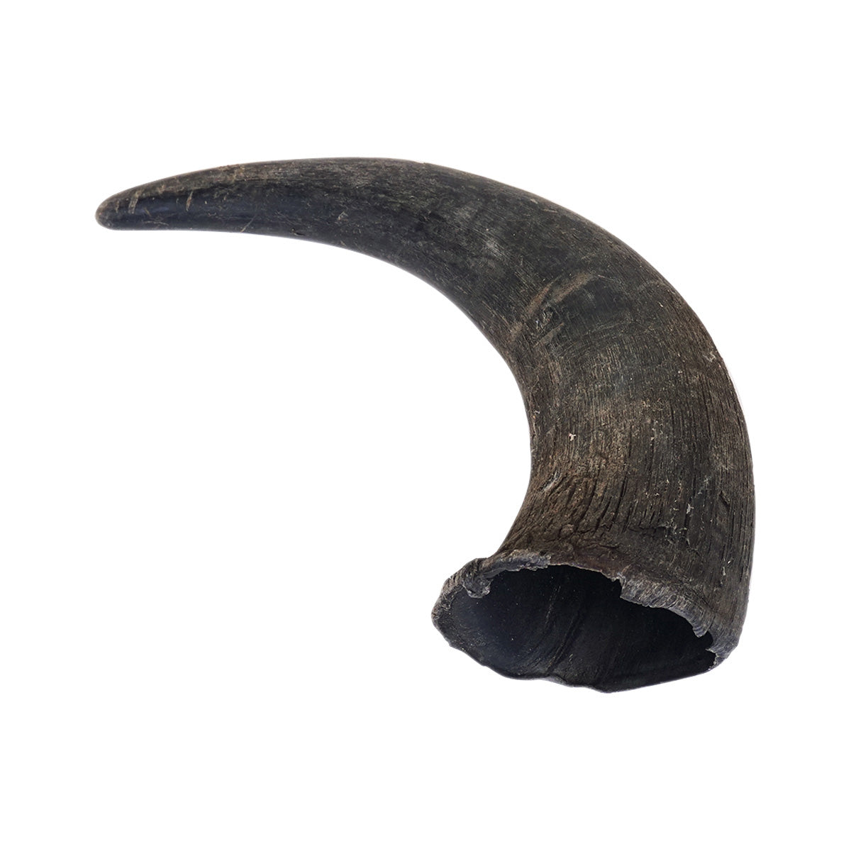 26-1001.SLC.05.jpg Buffalo Powder Horn Kit Image