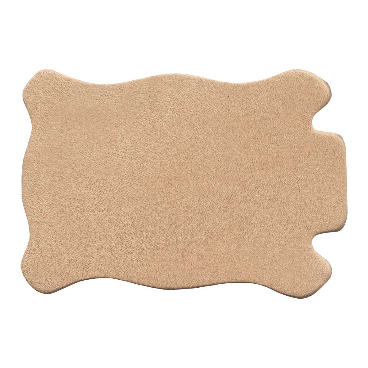 SHP013.SLC.1.jpg Camp & Craft Shape - Perfect Hide Image