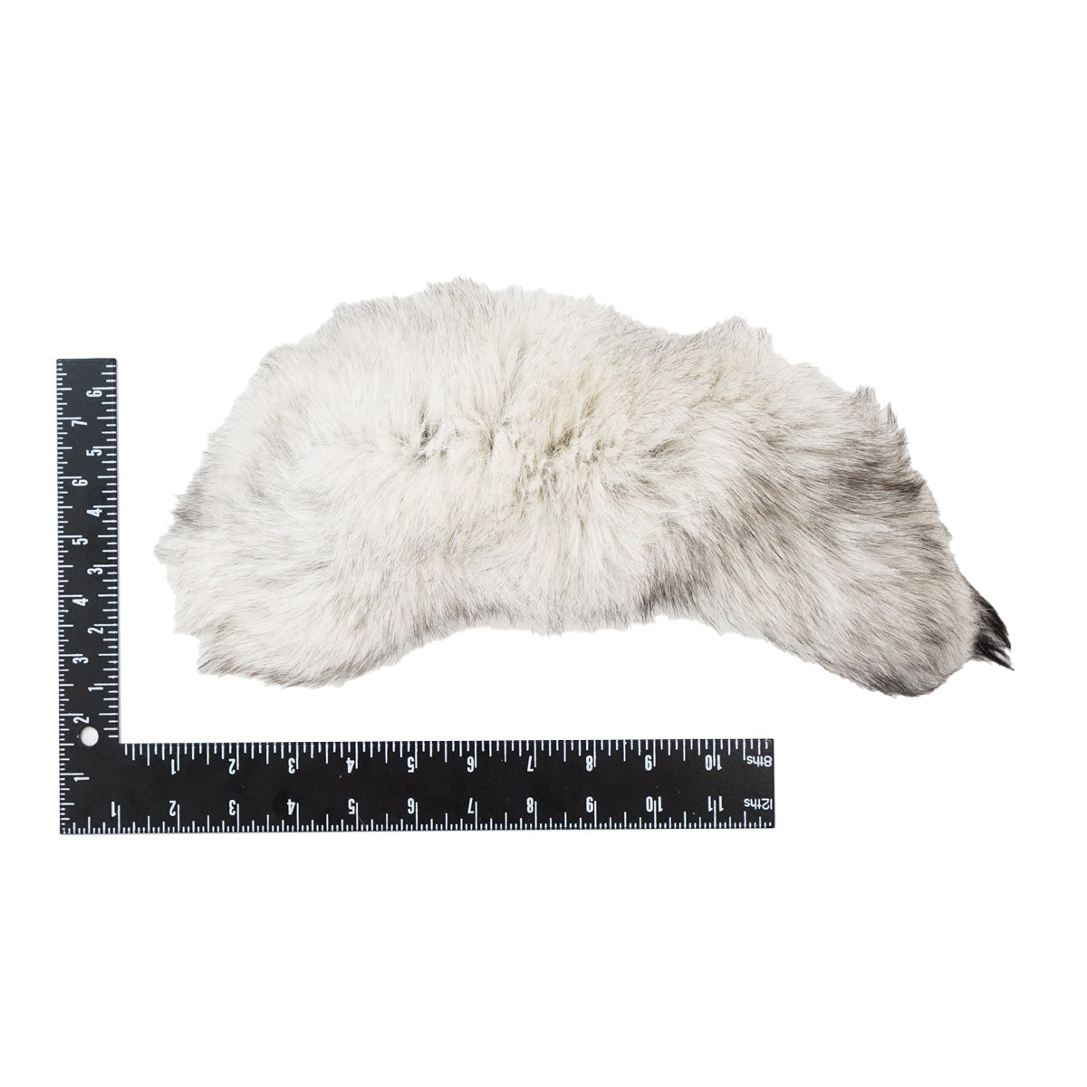 126-601.SLC.3.jpg Blue Fox Tail Image