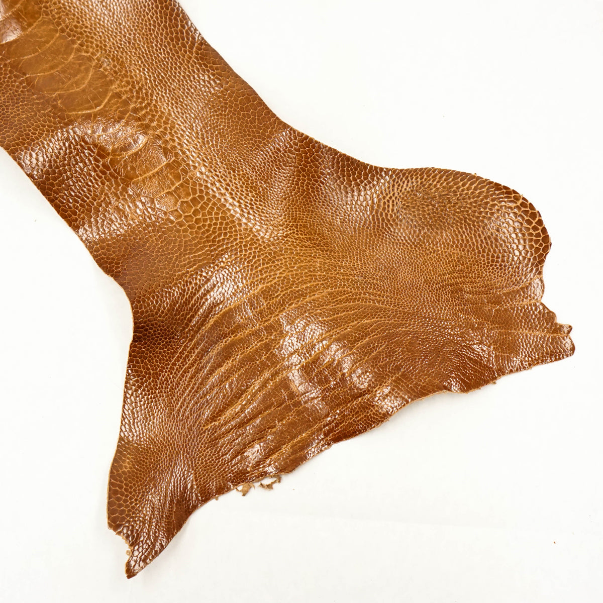 63-840104.SLC.2.jpg Ostrich Leg - Cognac Image