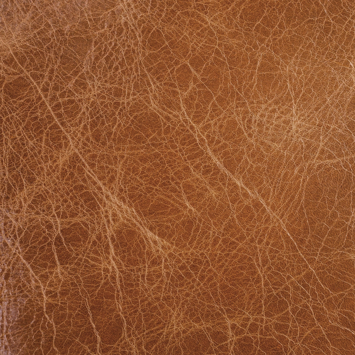 VENUP.Saddle.02.jpg Venetian Upholstery Hide Image