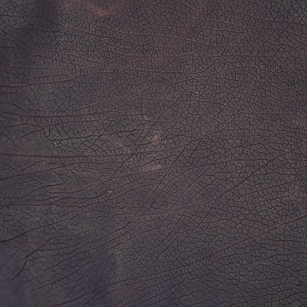 SGBDS.Matte Dark Brown.03.jpg Shrunken Grain Buffalo Double Shoulders Image