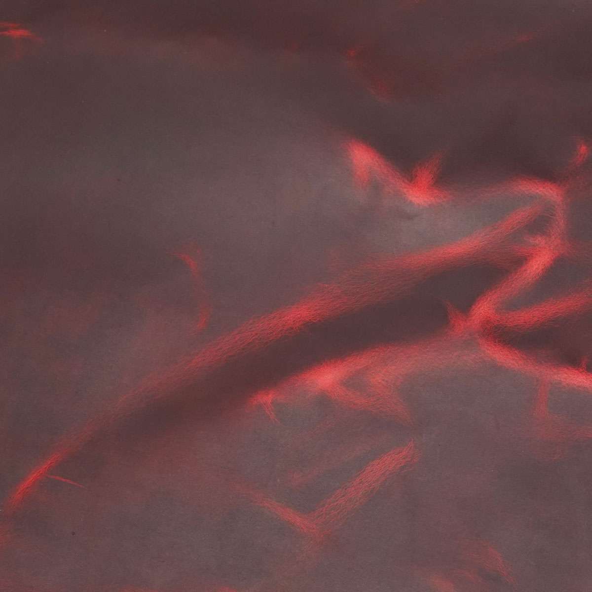 AWPU.Oxblood.03.jpg Aurora Waxed Pull-Up Image