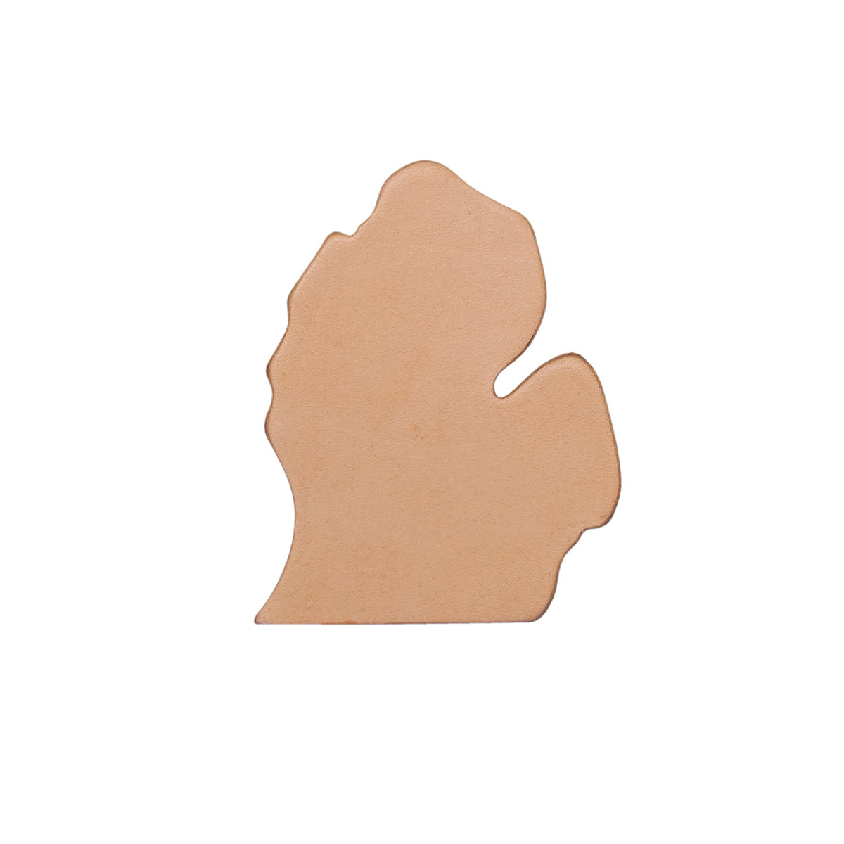 SSMI.SLC.01.jpg State Shape - Michigan Image