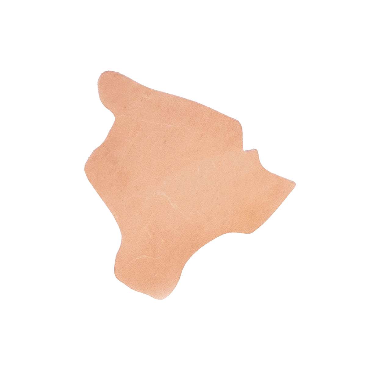 SHP124.SLC.01.jpg State Shape - Hawaii - Hawai’i Image