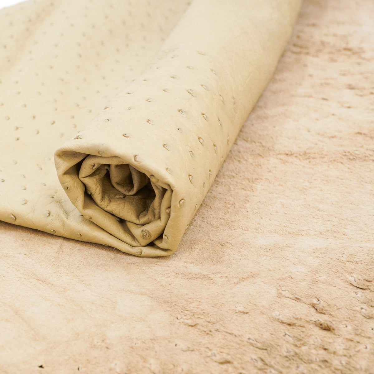 317-04.SLC.1.jpg Half Hide SP Ostrich Bone - Flyer Image