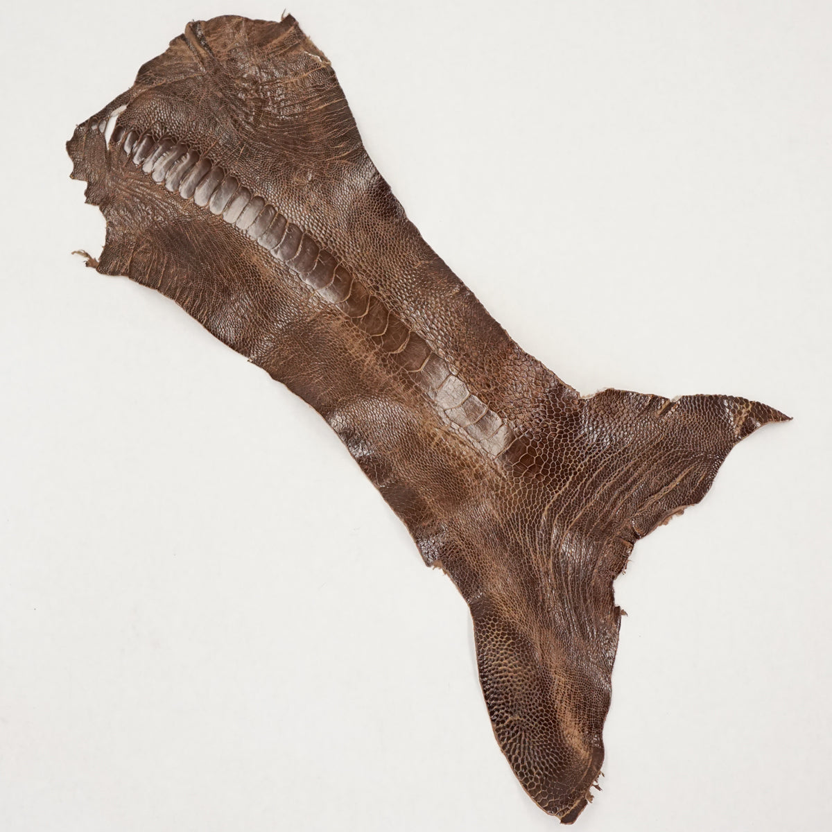 63-30514.SLC.2.jpg Ostrich Leg - Rugged Image