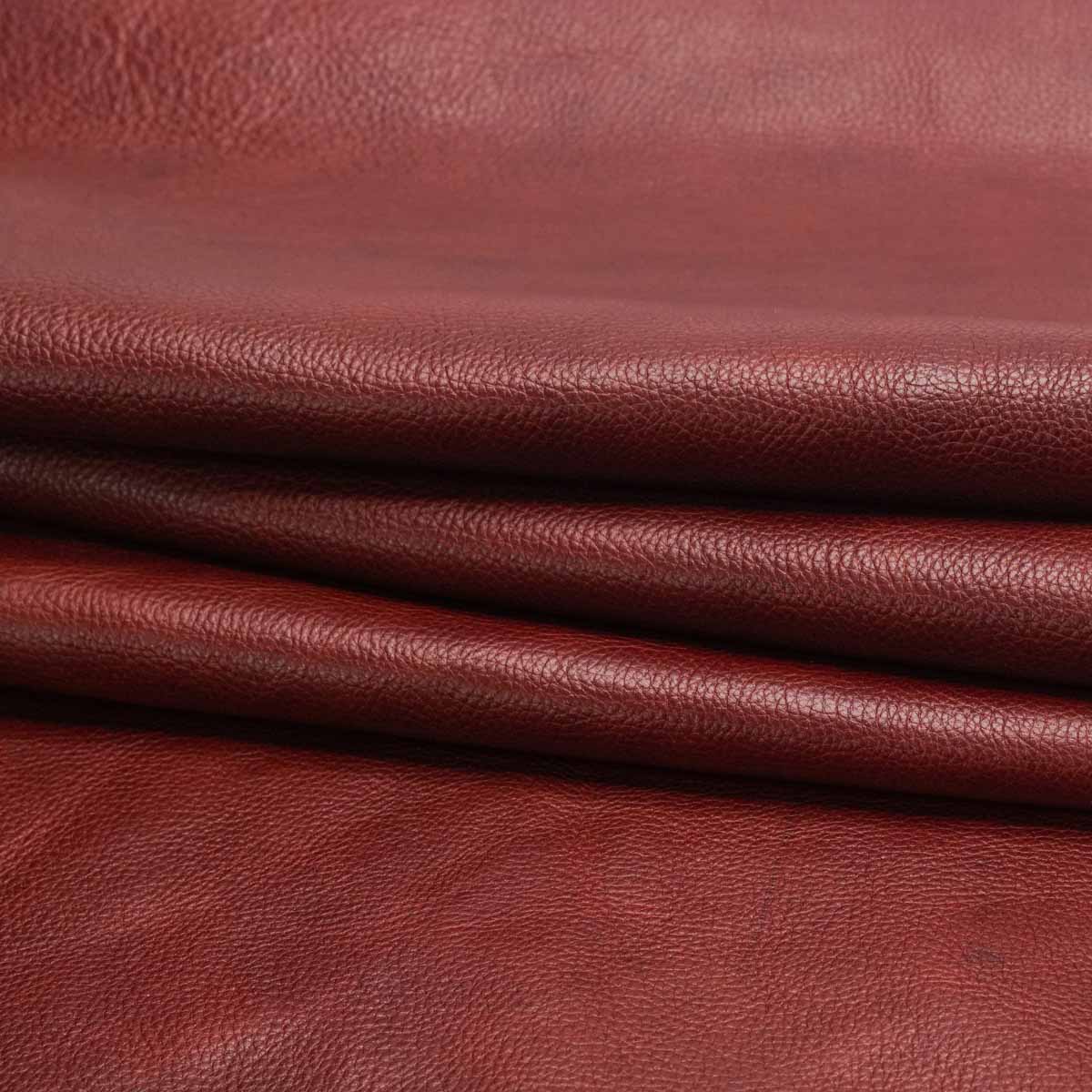 579-001.SLC.02.jpg Nutmeg Bulldog Side Image