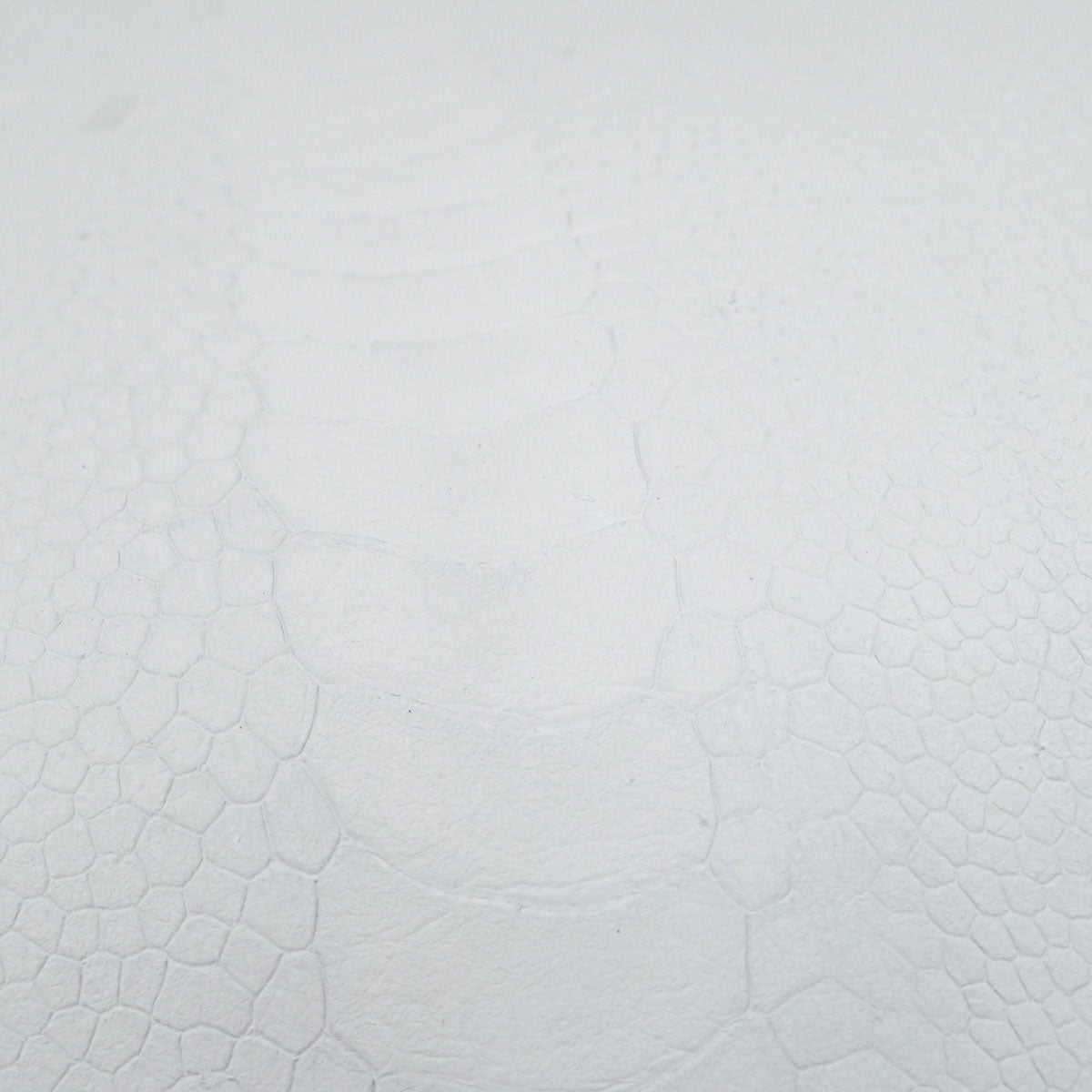 63-84011.SLC.03.jpg Ostrich Leg - Crust Image