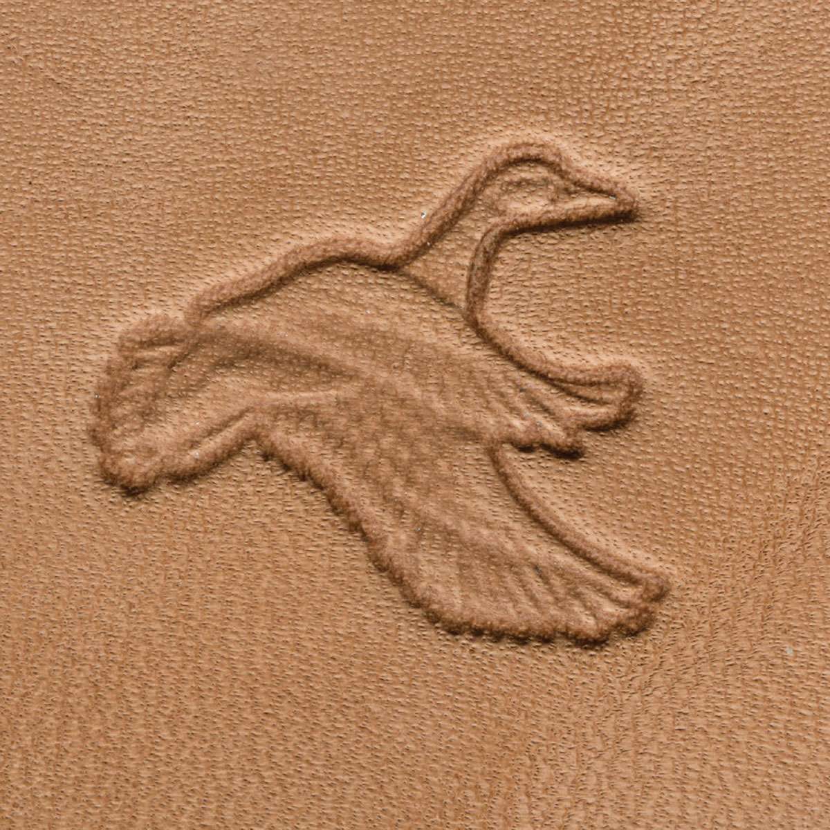 011-8830600.SLC.1.jpg Flying Duck - 3D Stamp Image