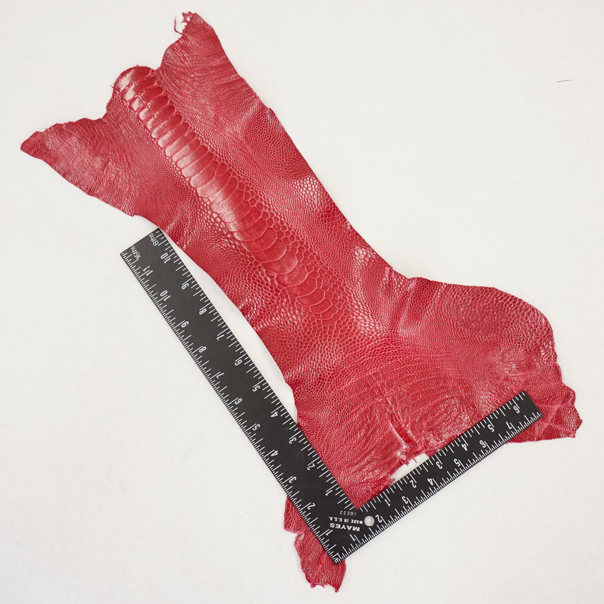 63-30502.SLC.3.jpg Ostrich Leg - Lathyrus Image