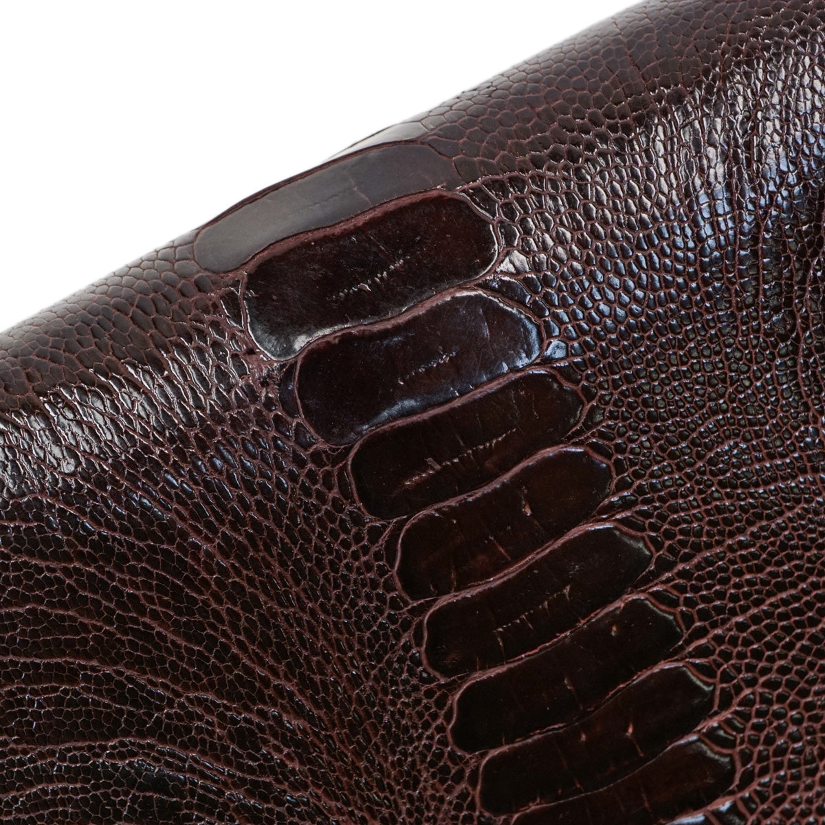 22-17.SLC.4.jpg Special Purchase Ostrich Leg - Bordeaux Image