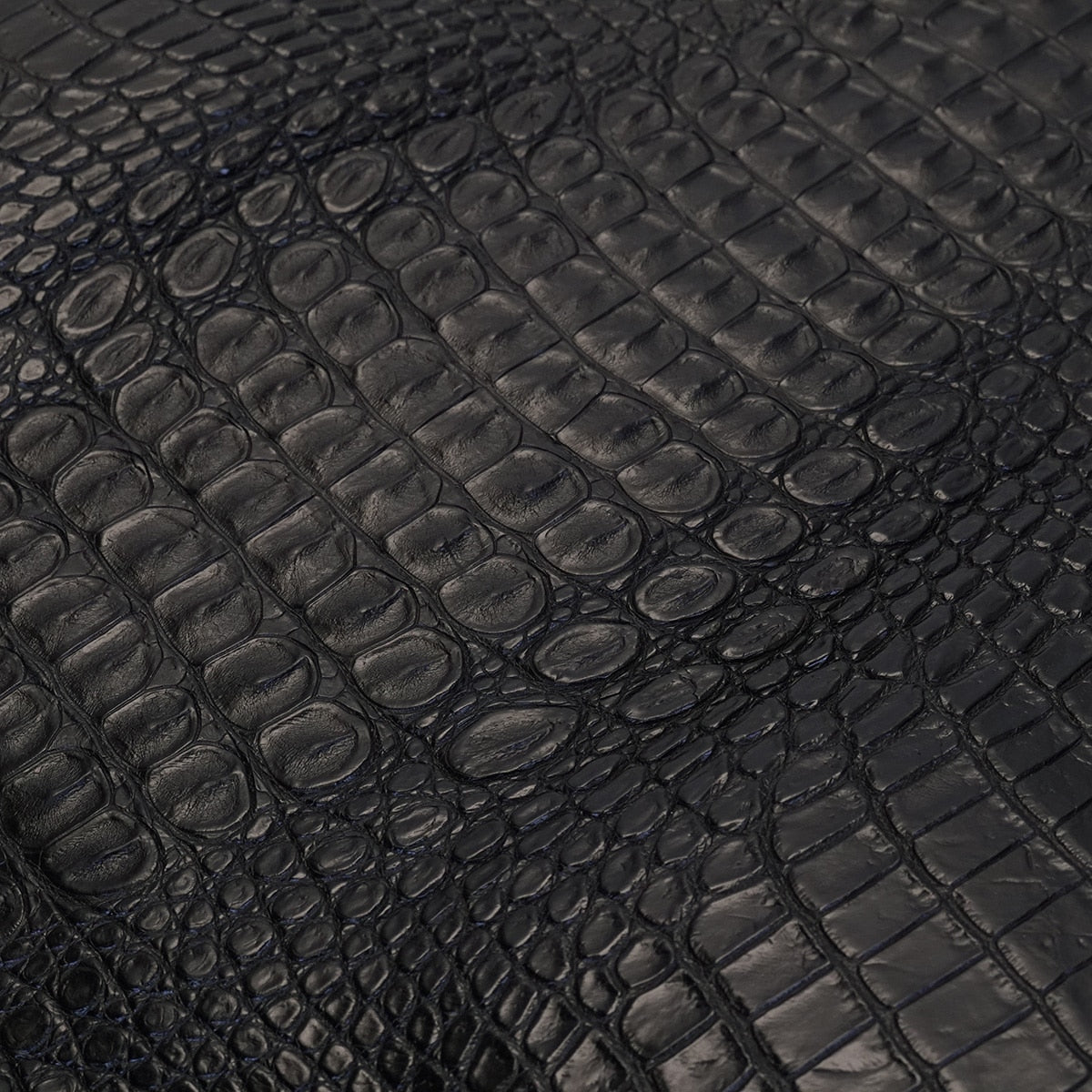 63-326.SLC.04.jpg Nile Croc with Hornback - Black Small Image