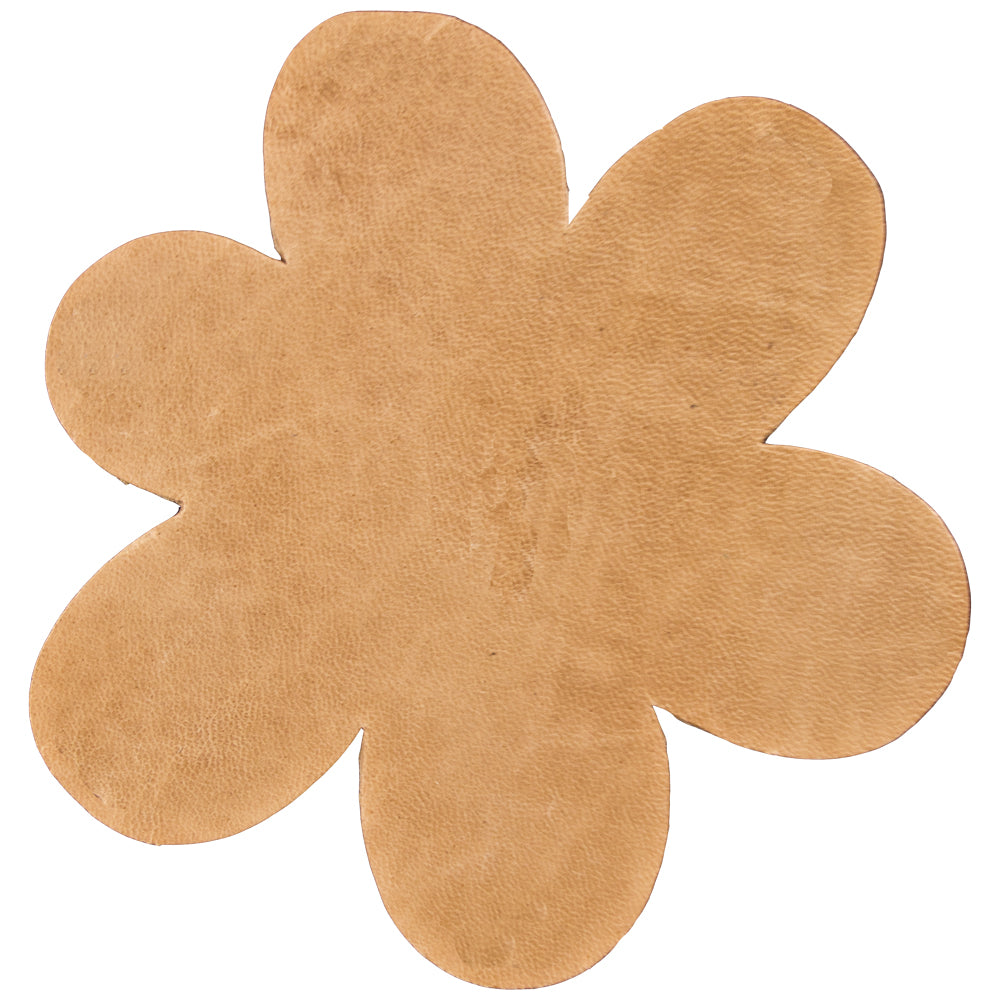 100-102125.SLC.jpg ShapeDaisyAsst25pk Image