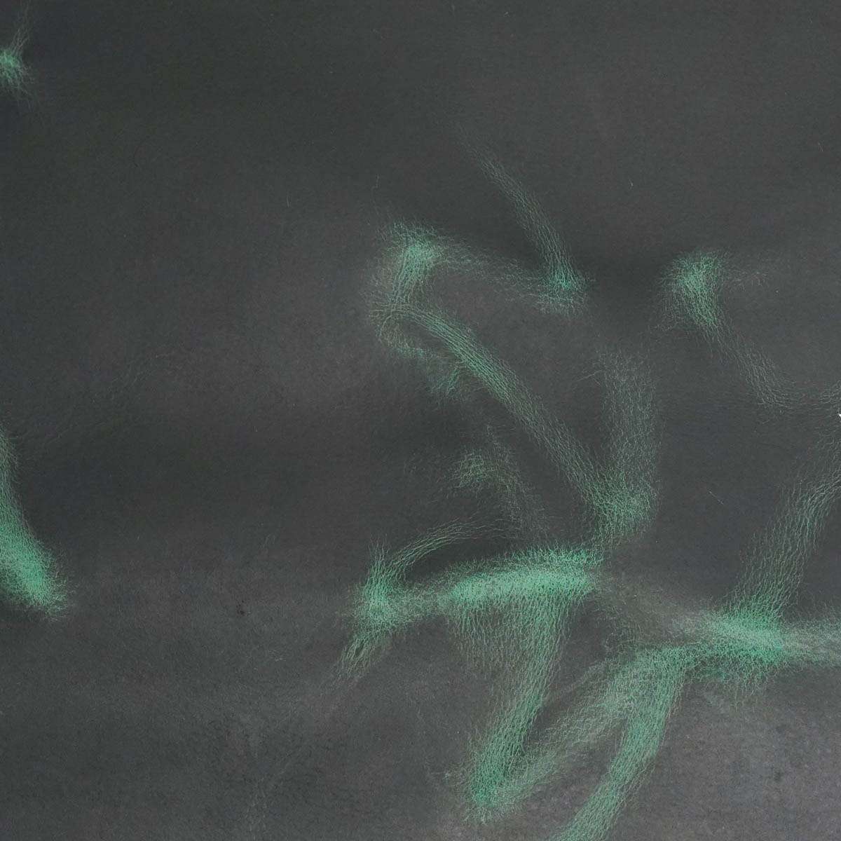 AWPU.Emerald Green.03.jpg Aurora Waxed Pull-Up Image