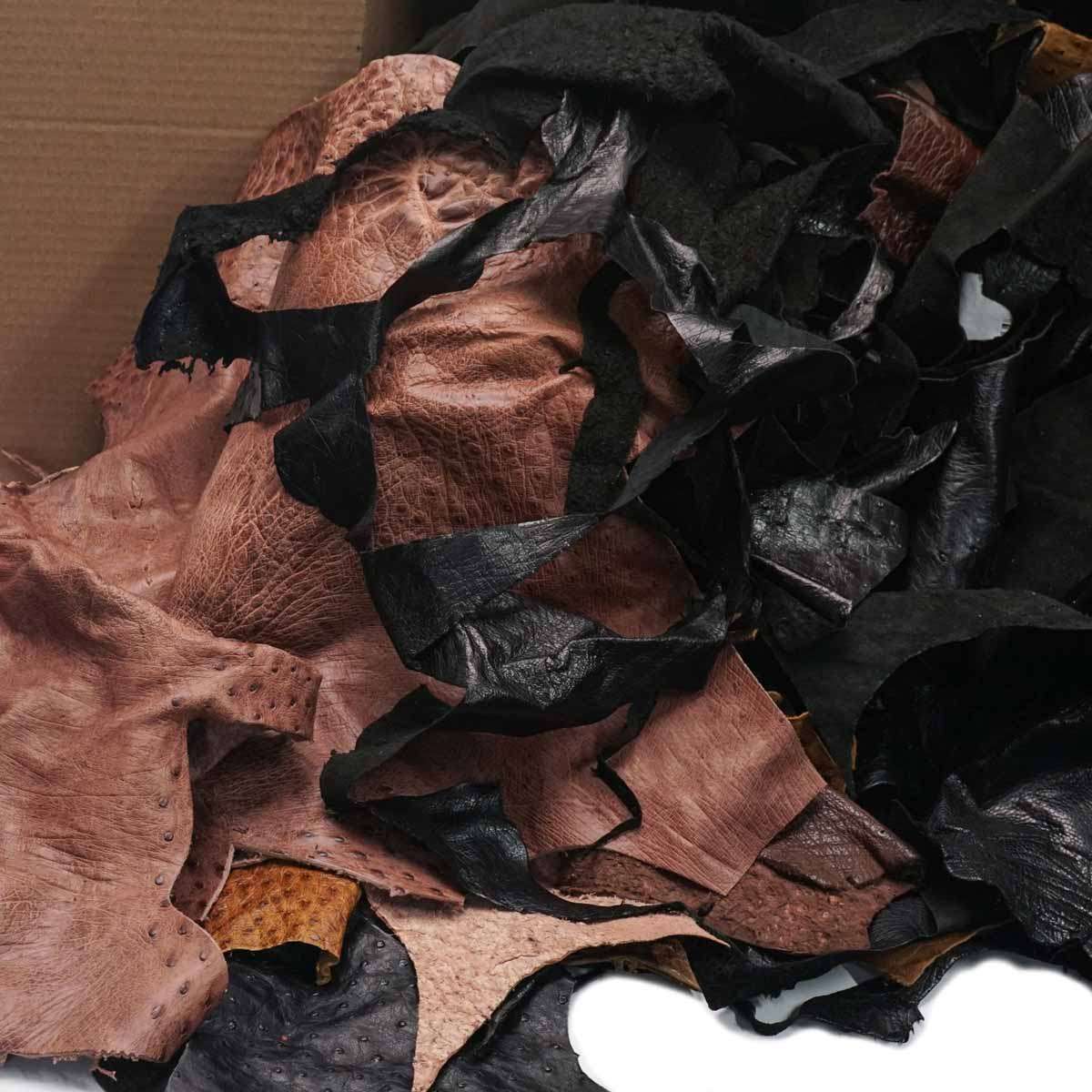 61-101.SLC.03.jpg 25lb Ostrich Remnant Box Image