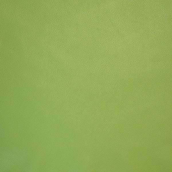 62-02.SLC.3.jpg Lightweight Biker-Chap Side - Avocado Image