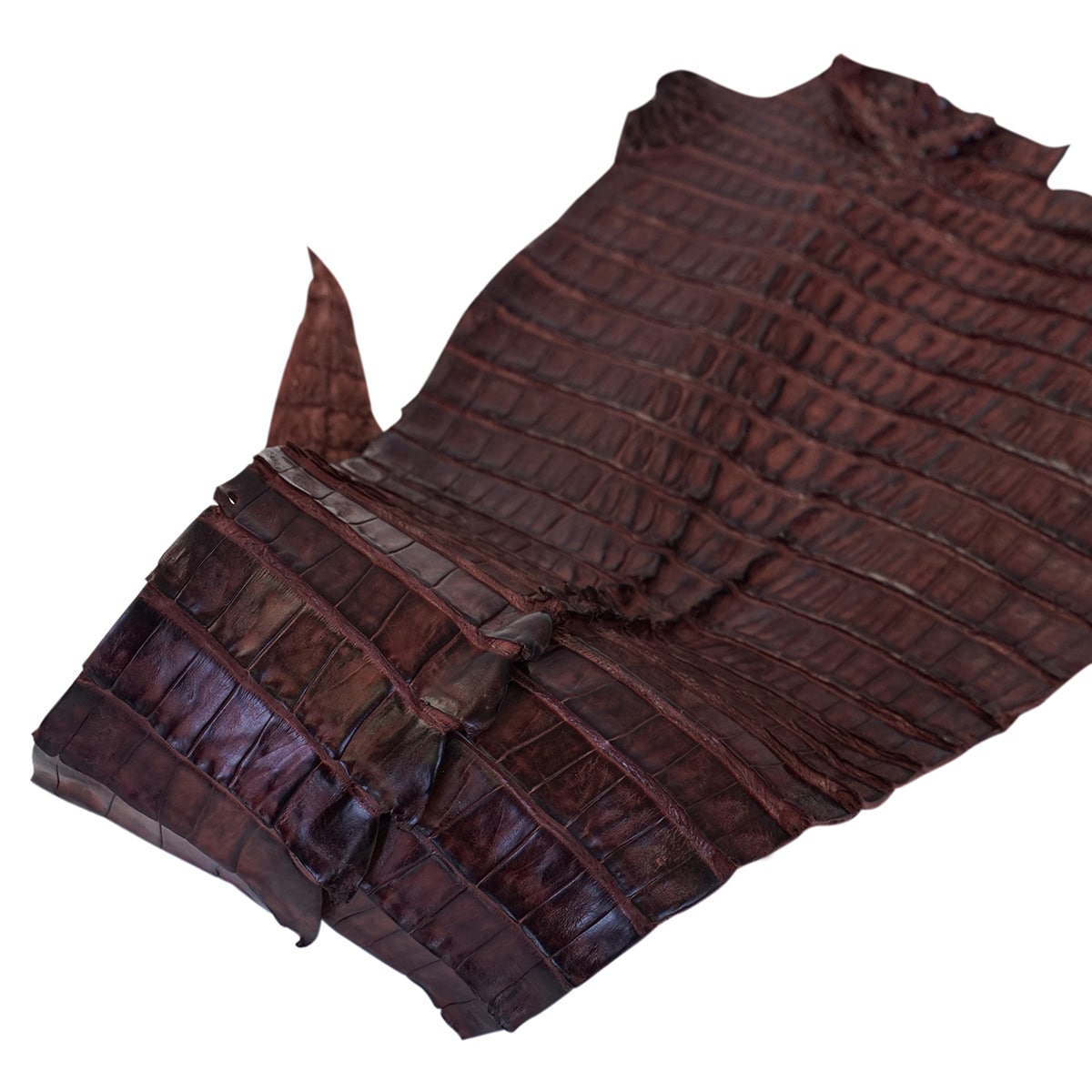 NCROC.Cognac.Hornback.03.jpg Nile Crocodile Tails Image