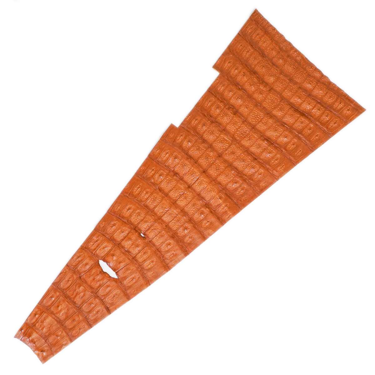 76-2.SLC.3.jpg Trimmed Caiman Tail - Cognac Image