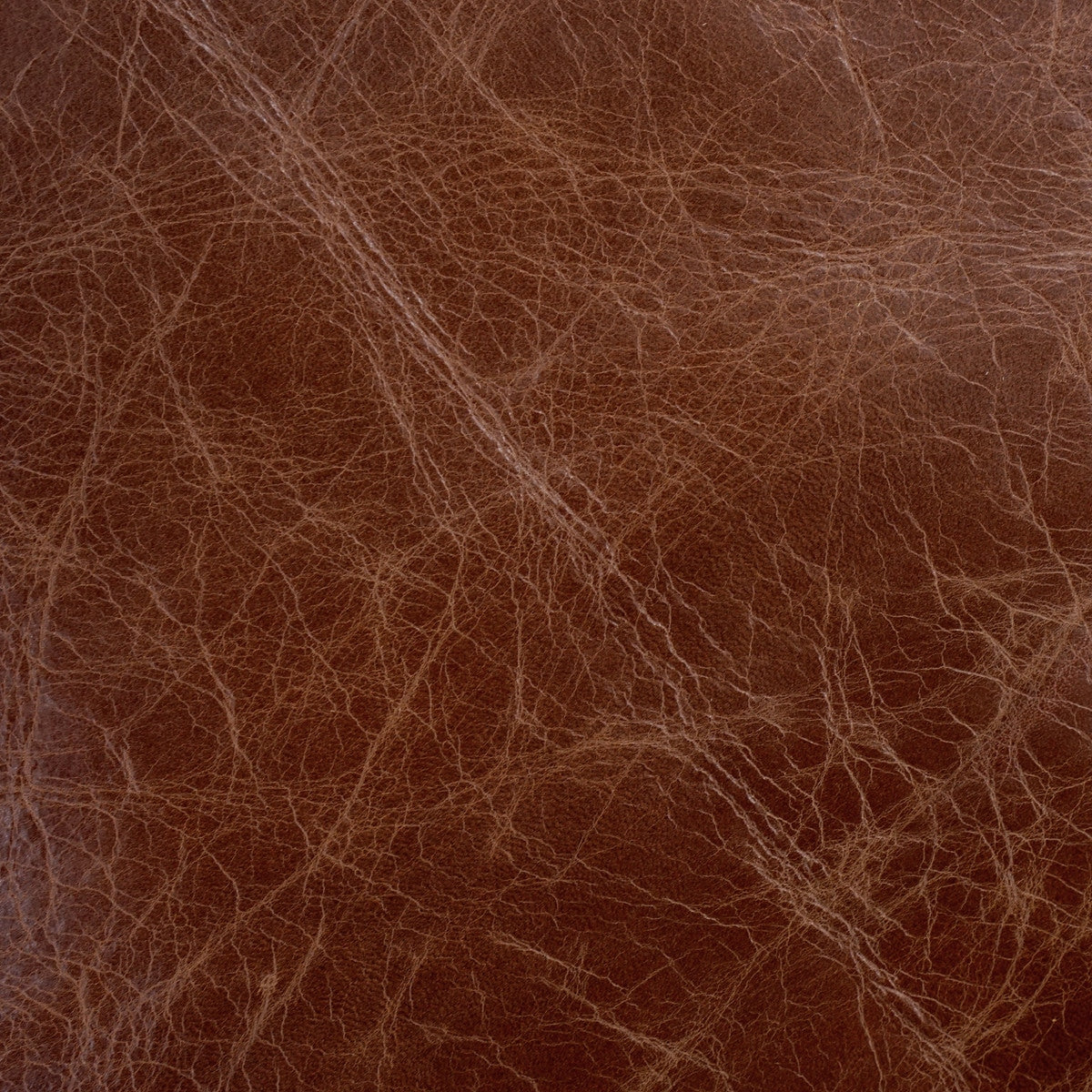 VENUP.Brandy.02.jpg Venetian Upholstery Hide Image