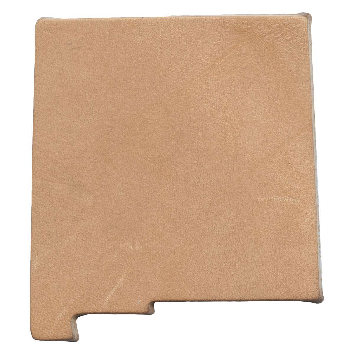 SHPNW.SLC.1.jpg State Shape - New Mexico Image