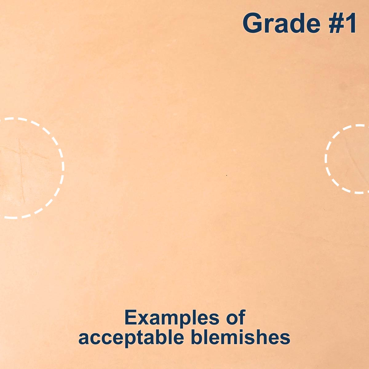 100-A.SLC.2.jpg Import Tooling Pre-Cut - 6" x 12" Image