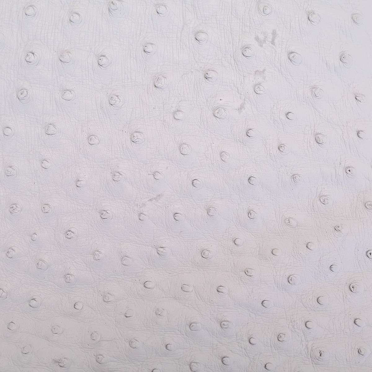 OSTH.Winter White.02.jpg Ostrich Hides Image