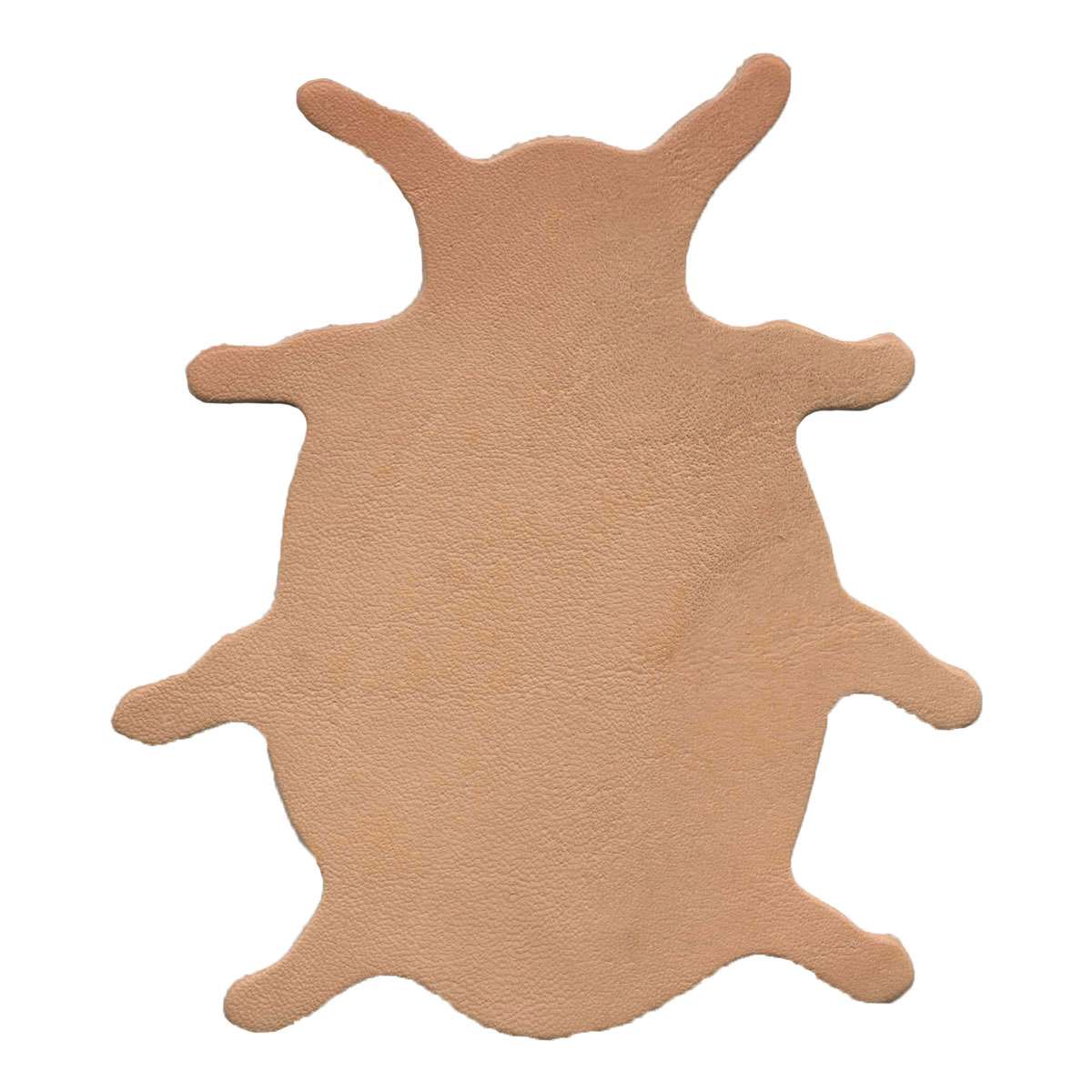 SHP015.SLC.1.jpg Camp & Craft Shape - Lady Bug Image