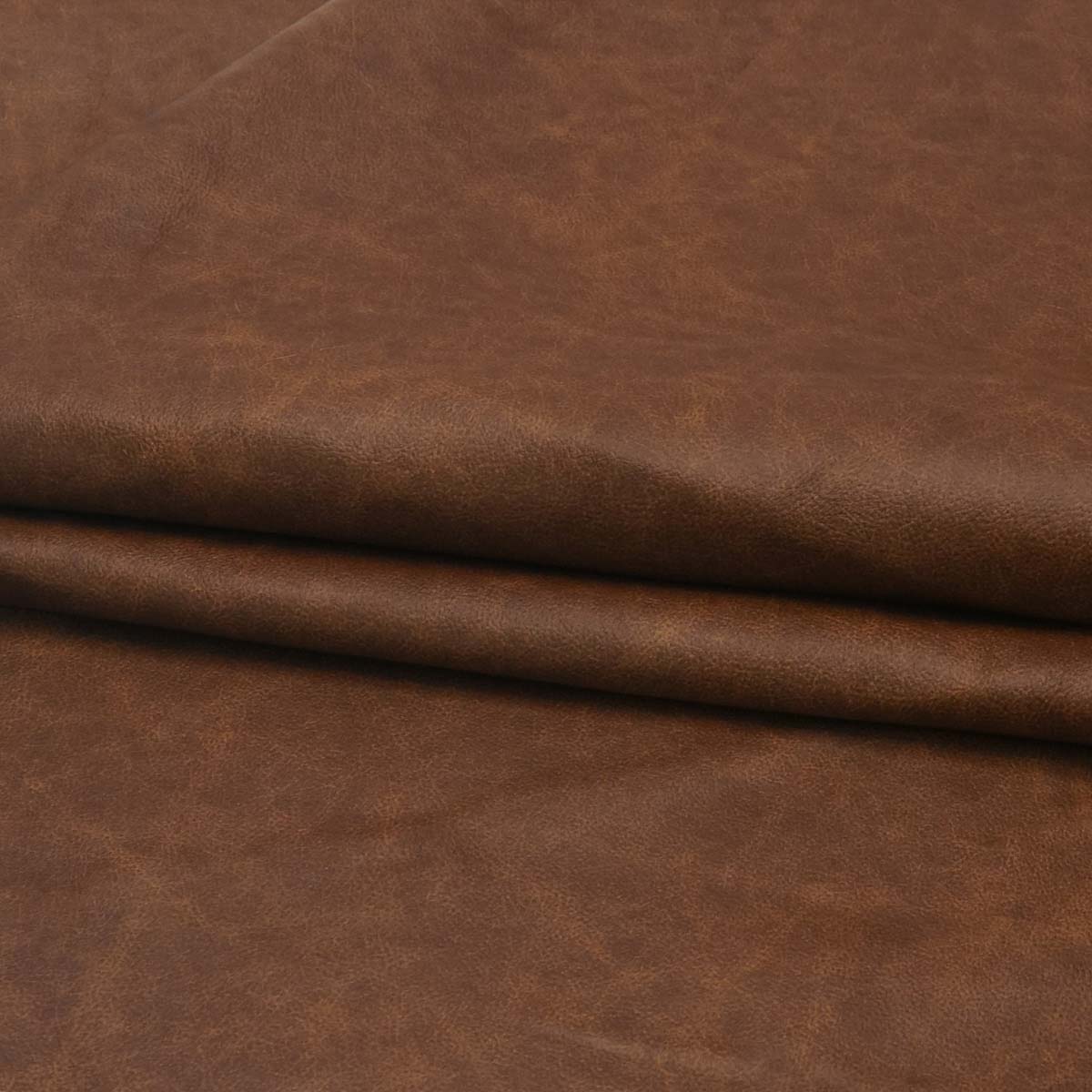 Staten Island - Fawn