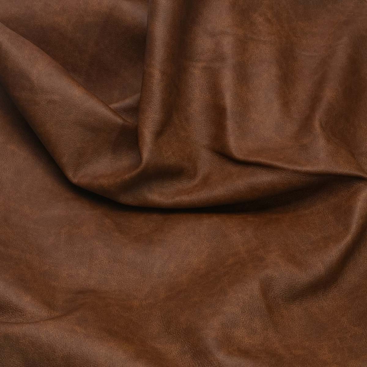 Staten Island - Fawn