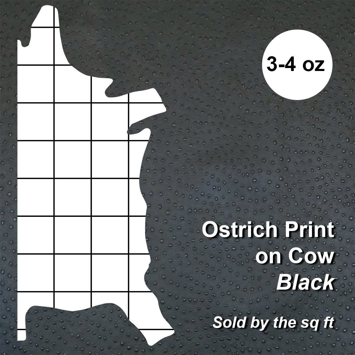 62-40.SLC.01.jpg Ostrich Print on Cow Sides - Black Image
