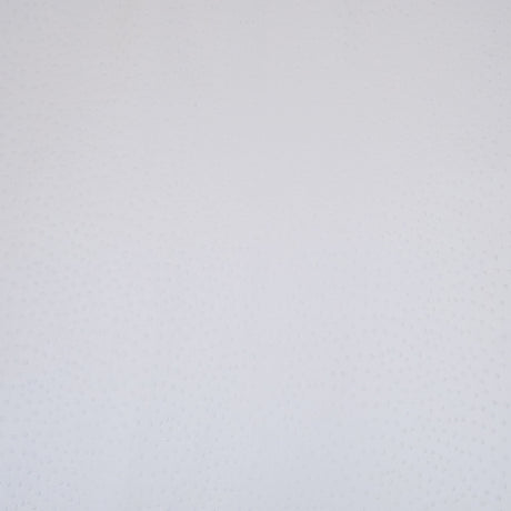 62-41.SLC.01.jpg Ostrich Print on Cow Sides - White Image