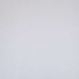 62-41.SLC.01.jpg Ostrich Print on Cow Sides - White Image