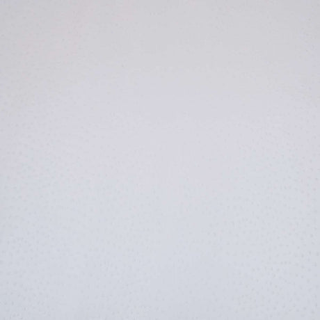 62-41.SLC.01.jpg Ostrich Print on Cow Sides - White Image