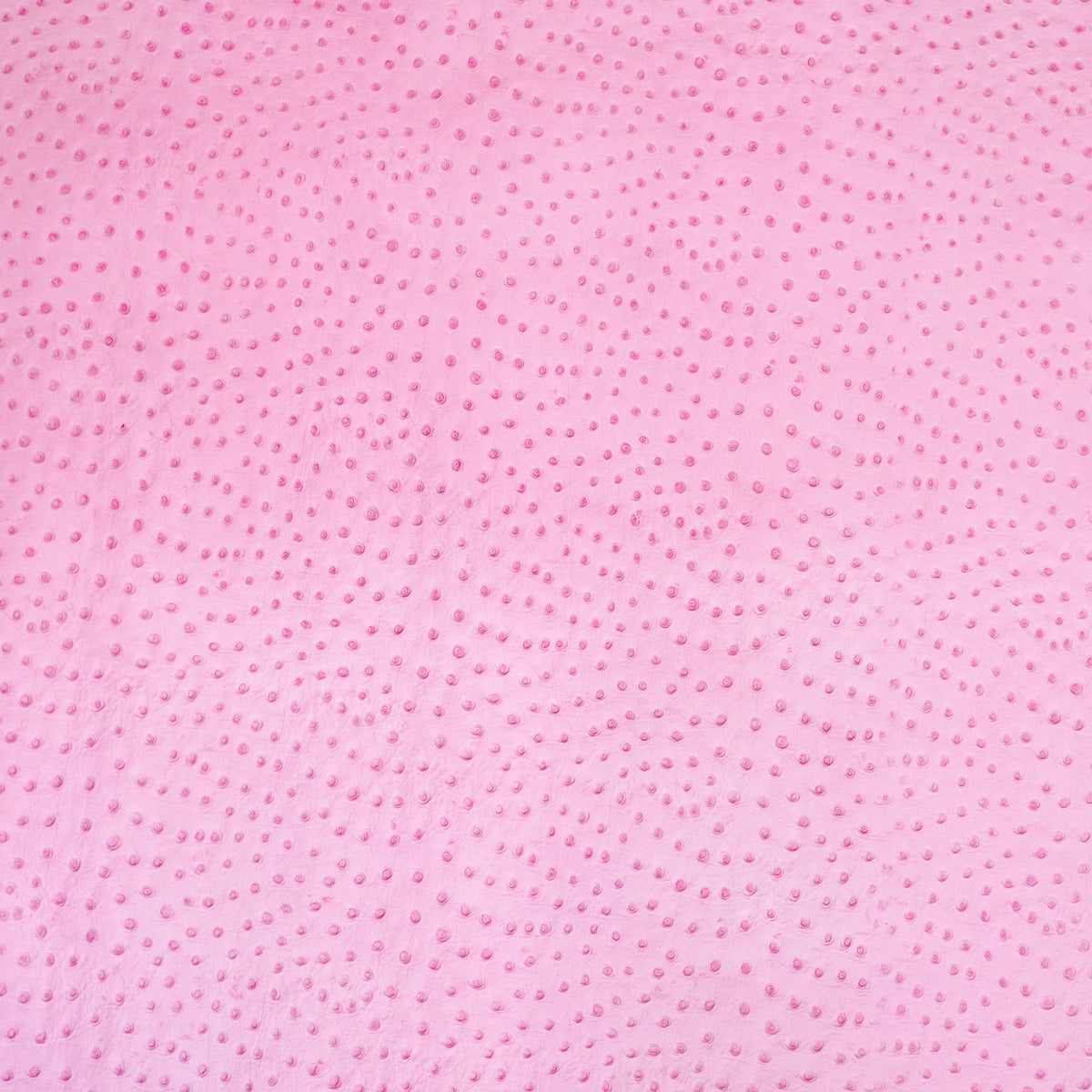 62-63.SLC.02.jpg Ostrich Print on Cow Sides - Hot Pink Image