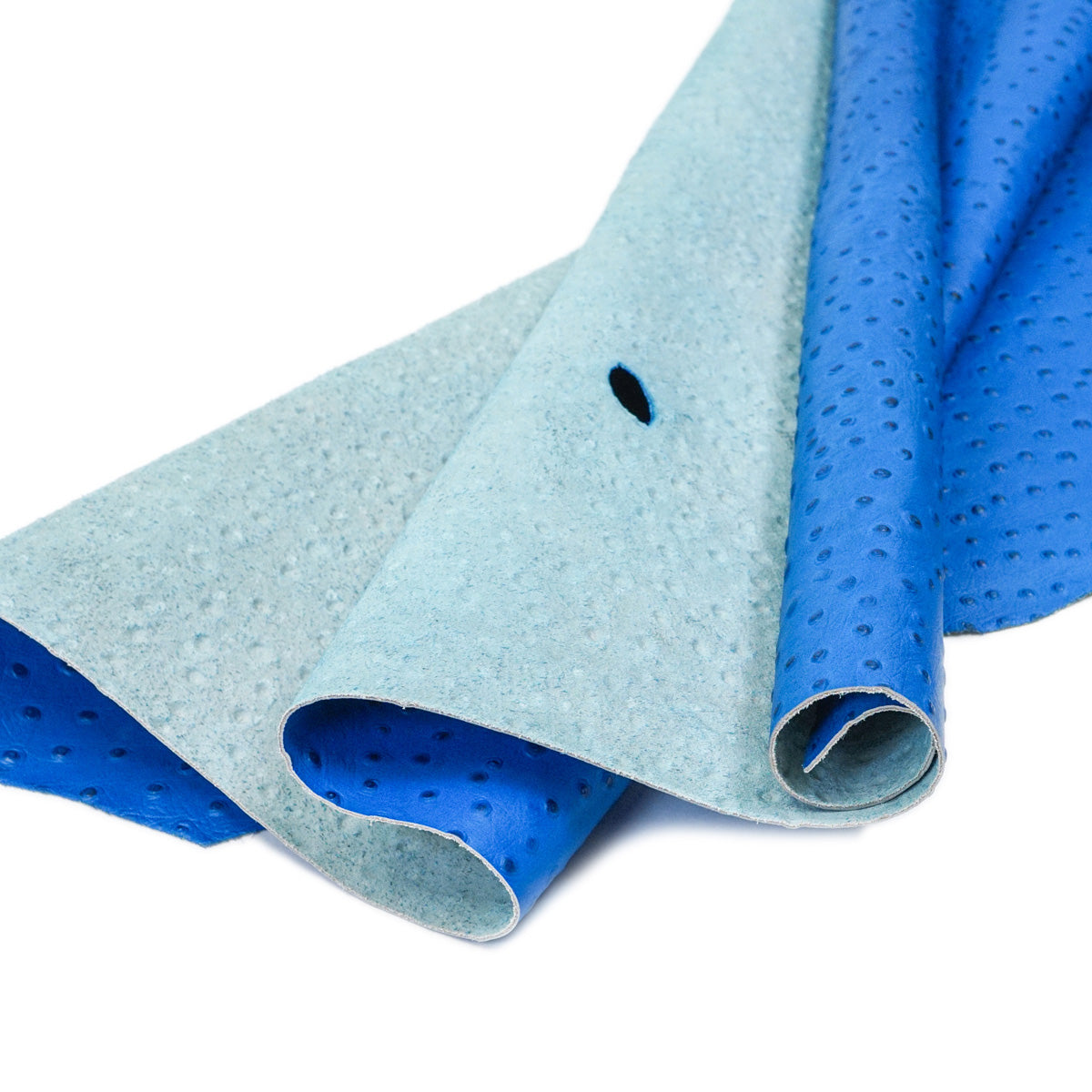 62-69.SLC.01.jpg Ostrich Print on Cow Sides - Royal Blue Image