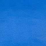 62-69.SLC.03.jpg Ostrich Print on Cow Sides - Royal Blue Image