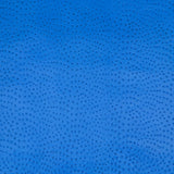 62-69.SLC.03.jpg Ostrich Print on Cow Sides - Royal Blue Image